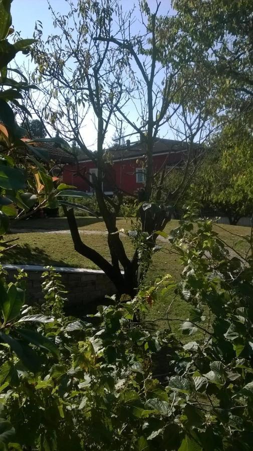 'L Sass Bed and Breakfast Borgomanero Εξωτερικό φωτογραφία